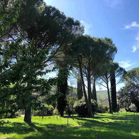 Gite Des Pins Saint-Maurice-dʼIbie Екстериор снимка