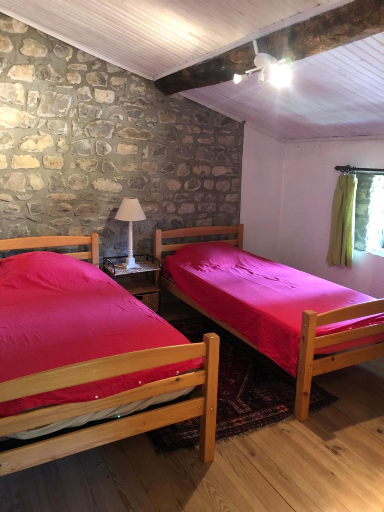 Gite Des Pins Saint-Maurice-dʼIbie Екстериор снимка
