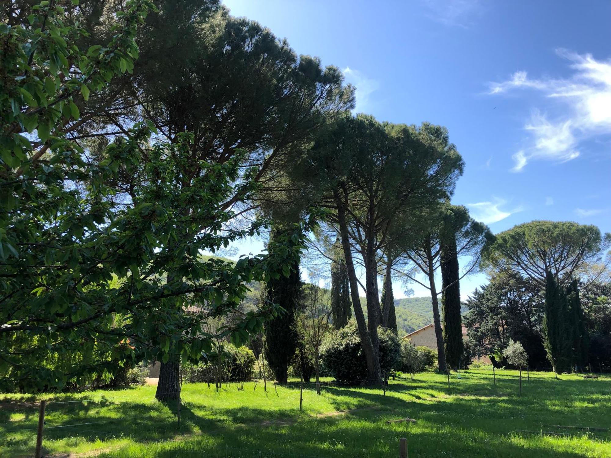 Gite Des Pins Saint-Maurice-dʼIbie Екстериор снимка