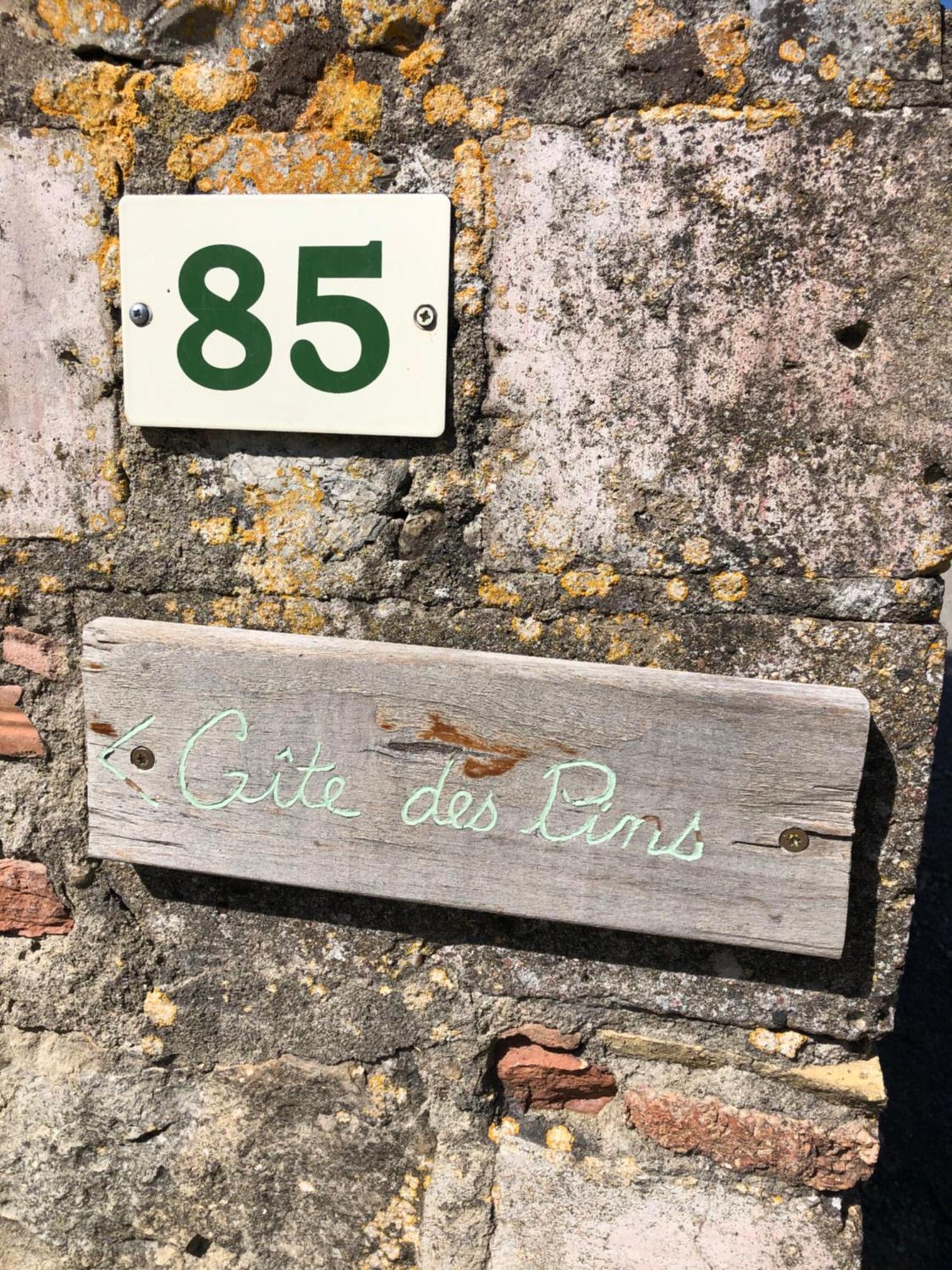 Gite Des Pins Saint-Maurice-dʼIbie Екстериор снимка