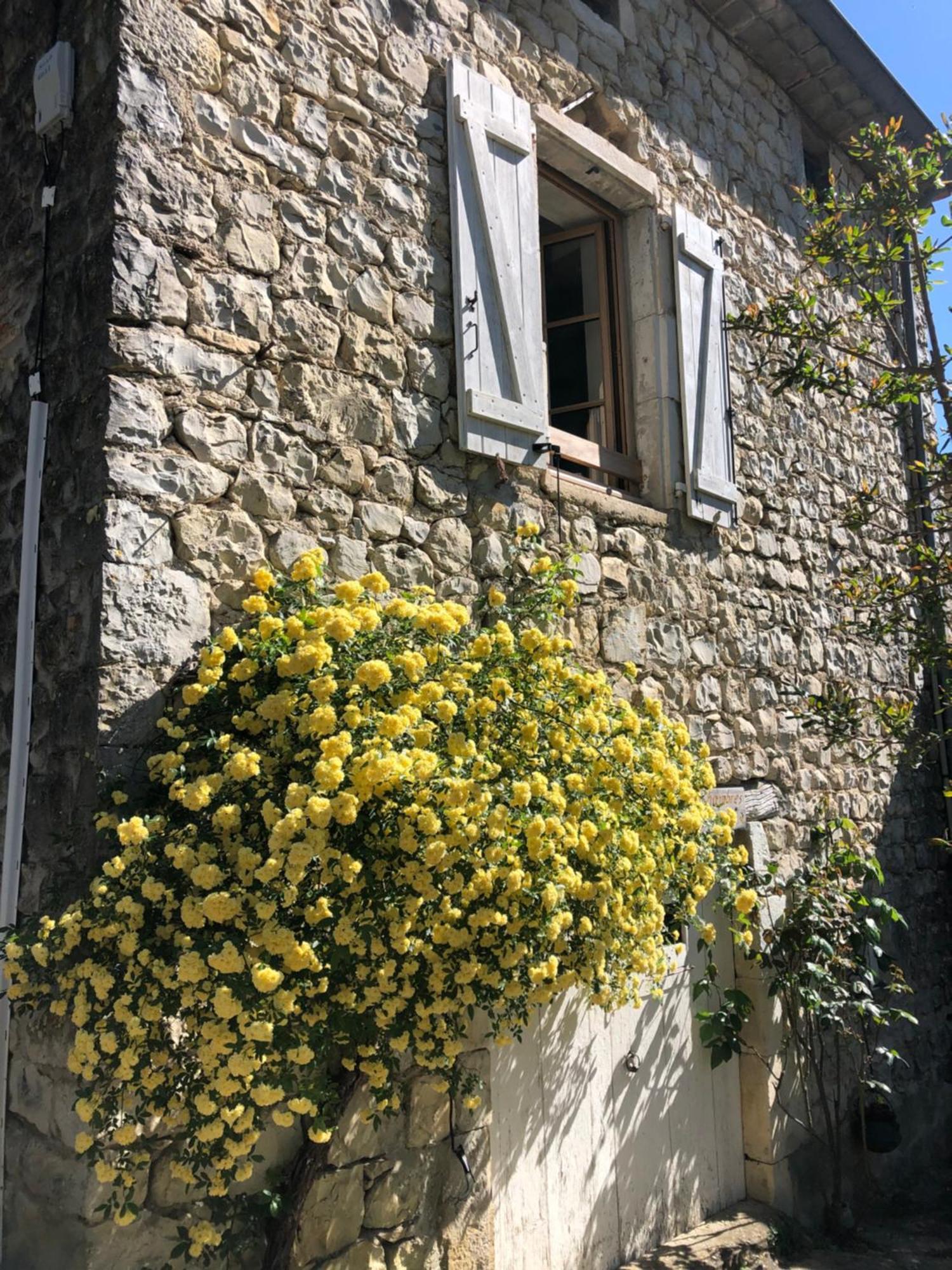 Gite Des Pins Saint-Maurice-dʼIbie Екстериор снимка